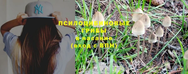 прущая мука Баксан